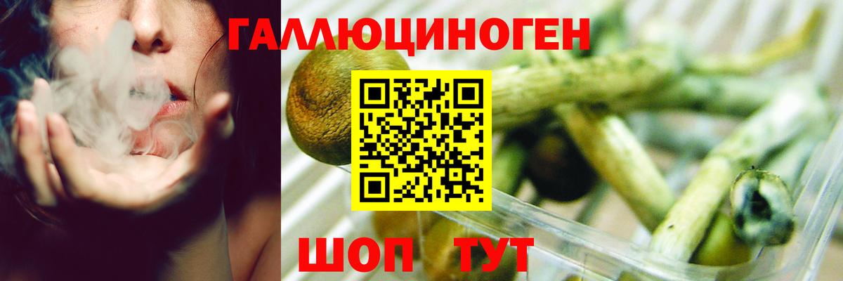 Псилоцибиновые грибы Magic Shrooms  Вход с VPN  Гусь-Хрустальный  Галлюциногенные грибы MAGIC MUSHROOMS 